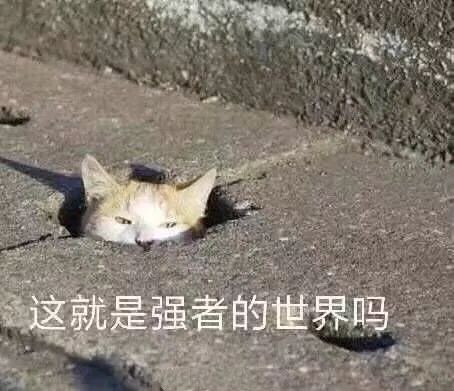 英國夏令營