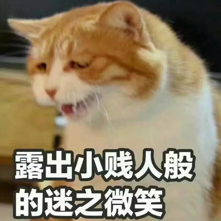 英國夏令營