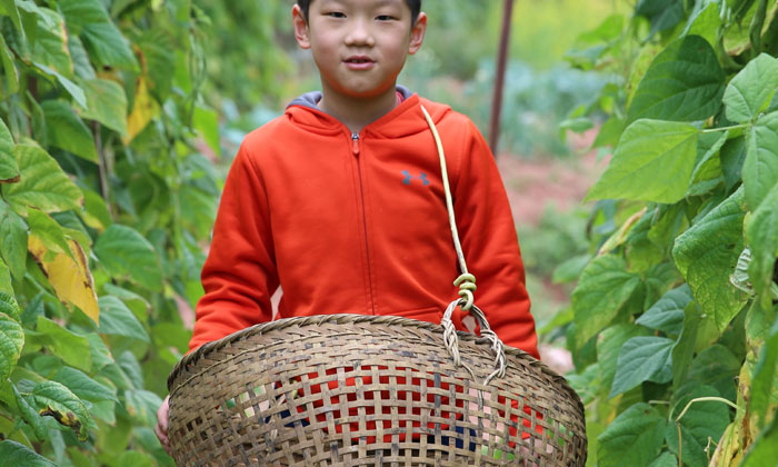 兒童戶外夏令營價格
