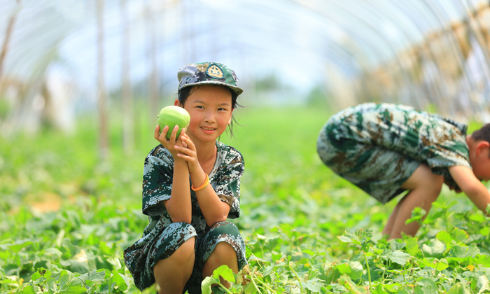5天兒童軍事夏令營(yíng)有哪些