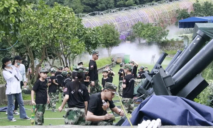 國內(nèi)兒童夏令營