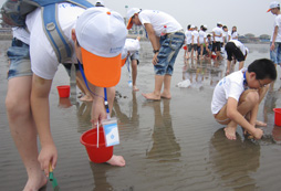 多大的孩子適合參加帆船夏令營？