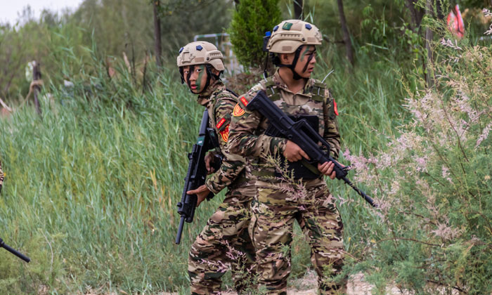 甘肅軍訓夏令營價格