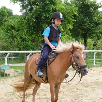 參加廣德馬術夏令營對孩子成長有什么幫助？