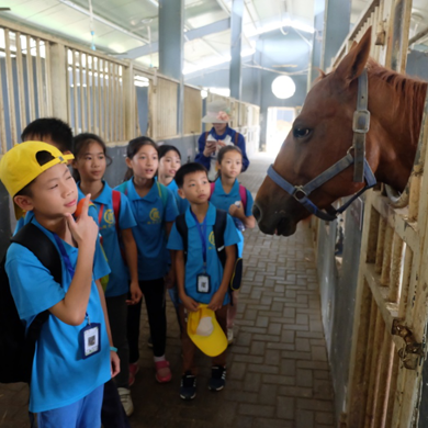 參加廣德馬術(shù)夏令營塑造孩子的貴族氣質(zhì)