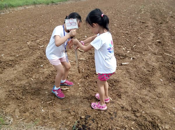 素質(zhì)教育夏令營