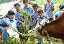 廣州青少年報(bào)名夏令營(yíng)需要注意什么？