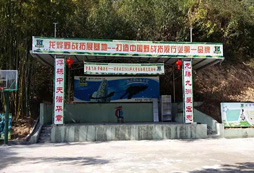 廣州龍燁野戰(zhàn)拓展基地