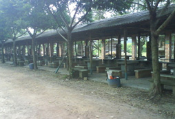 廣州金星農(nóng)莊拓展基地