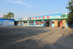 廣州喜樂登拓展訓(xùn)練基地