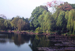 廣州華南植物園拓展基地
