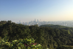 廣州白云山