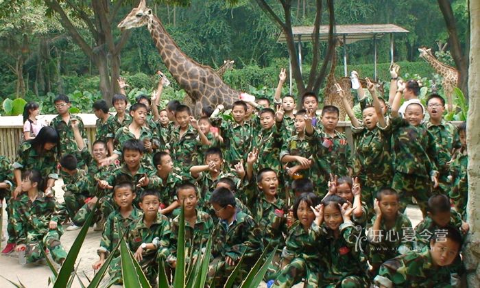 廣州軍事夏令營