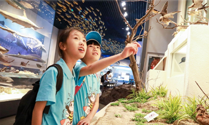 廣州拓展夏令營讓孩子全面發(fā)展
