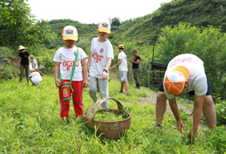 廣州心智冬令營(yíng)怎么選？精彩活動(dòng)推薦