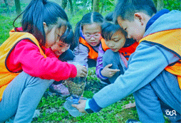 參加貴州10天夏令營(yíng)給心靈來(lái)一次旅行