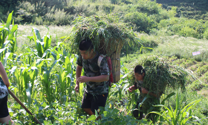 貴州小學(xué)生夏令營(yíng)