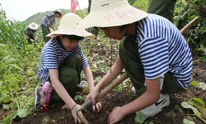 貴州心智夏令營哪家好