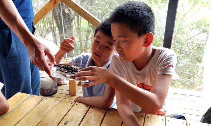 國防教育夏令營機構(gòu)有哪些