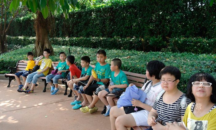 國際暑期夏令營