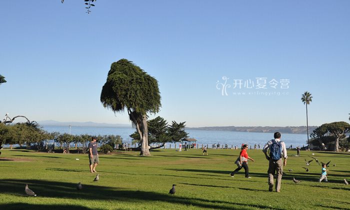 國際游學夏令營