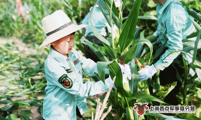 國內(nèi)夏令營口碑好的品牌推薦