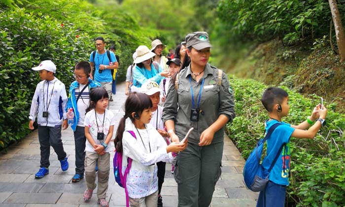 國內(nèi)少年夏令營排行
