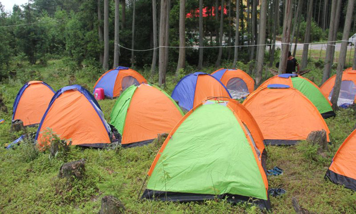 國內(nèi)青少年夏令營