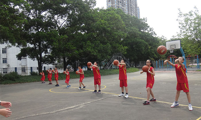 國內夏令營哪家好
