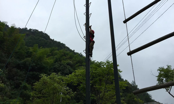 夏令營基地