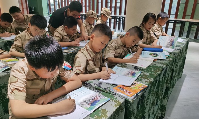 國內(nèi)心智夏令營哪里好