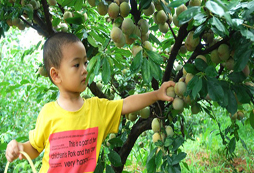 少兒參加國學(xué)夏令營怎么樣？
