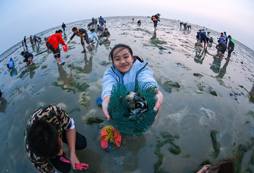 我們的勞動成果