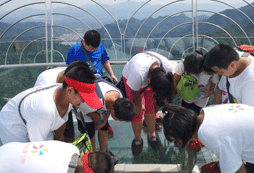 玻璃橋游玩