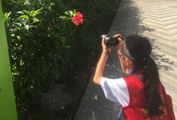 參加海邊夏令營學會知識才是王道