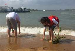 海濱夏令營報名是走進海洋的第一步