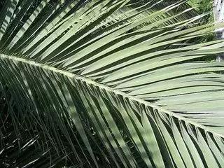 1536828243301c18f2fac40.jpg