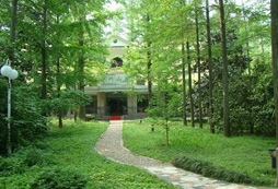 杭州東明山森林公園拓展基地