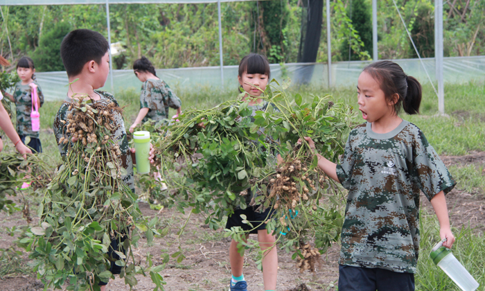杭州軍事夏令營的特色有哪些？.jpg