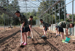 杭州夏令營報名常見問題解析