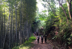 杭州心智拓展夏令營怎么樣