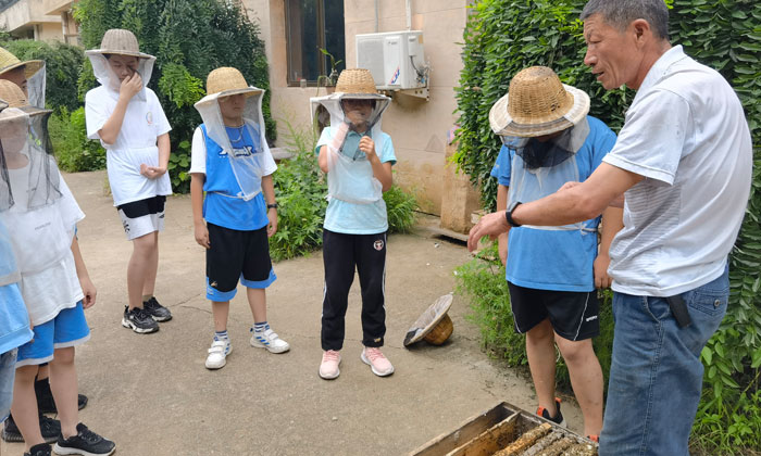 河北科技夏令營排行如何