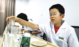 參加合肥科技探索夏令營培養(yǎng)孩子綜合素質(zhì)