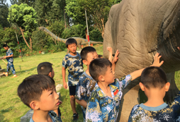 參加合肥中學生夏令營培養(yǎng)孩子吃苦耐勞