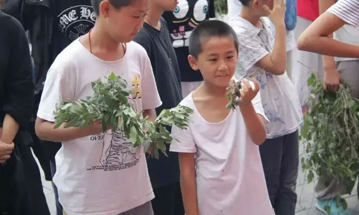 河南有哪些夏令營(yíng)