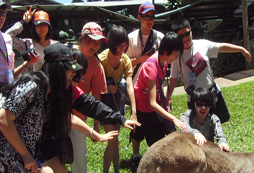 2016香港夏令營(yíng)介紹學(xué)生去香港求學(xué)要辦哪些證件