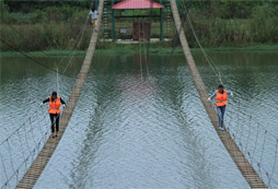 獨木橋
