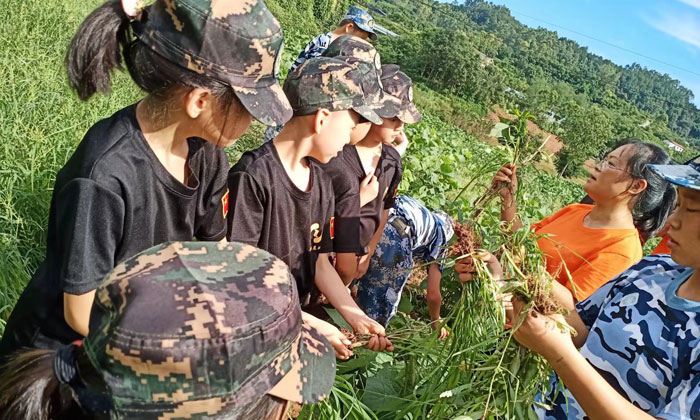 成都軍事化夏令營機(jī)構(gòu)推薦