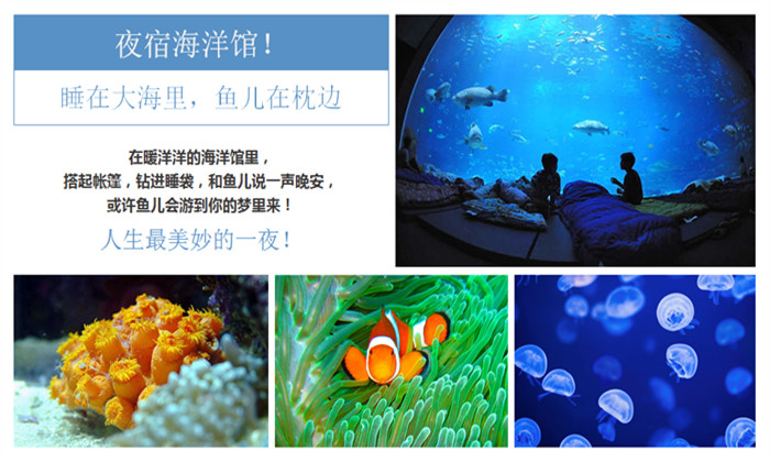 浙江探索夏令營(yíng)