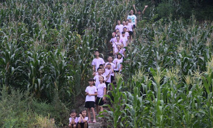 黃山研學夏令營.jpg